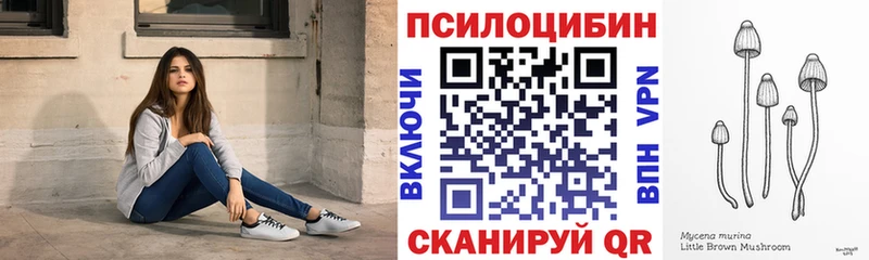 Галлюциногенные грибы Psilocybe  Новый Оскол 