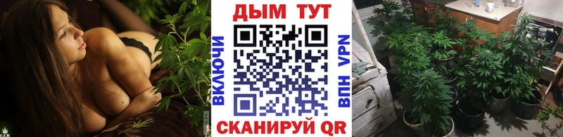 Шишки марихуана план Новый Оскол